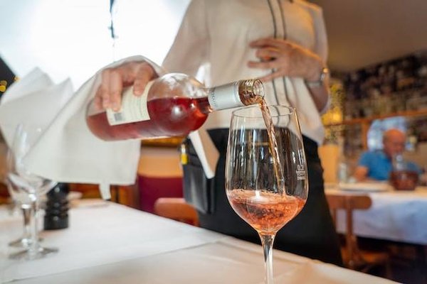 Les prérequis pour suivre une formation vinicole
