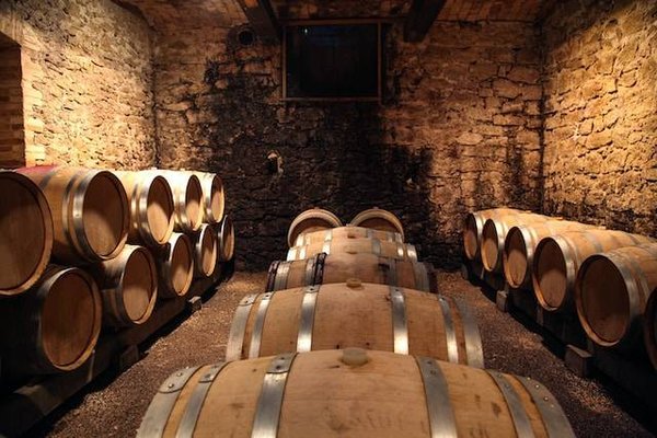 Les méthodes pédagogiques efficaces dans la formation vinicole