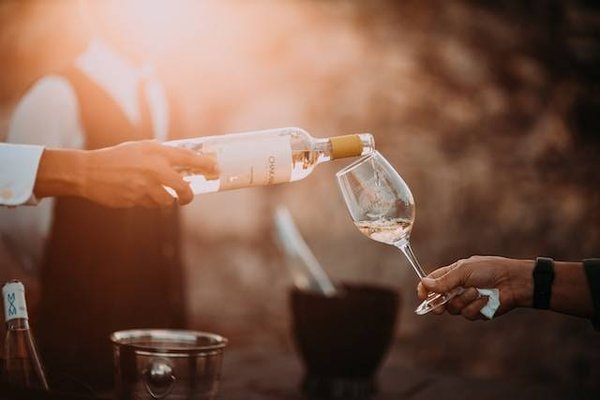 Quelles sont les durées et les rythmes d'une formation vinicole?