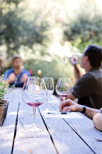 Qu'est-ce que la viticulture ? Tout ce que vous devez savoir !