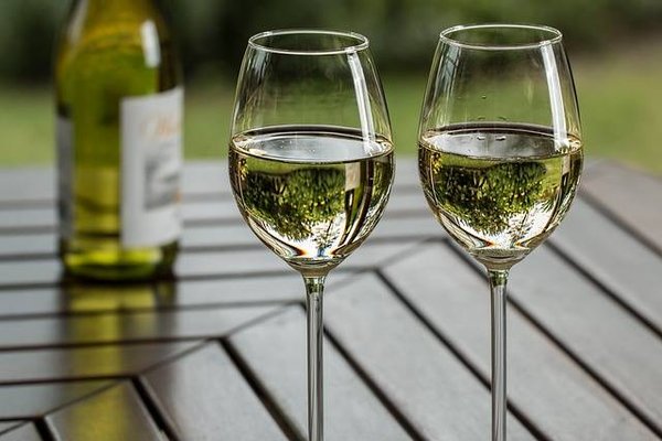 Quels sont les métiers et les débouchés en viticulture ?