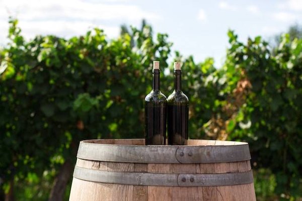 Les 4 vignobles d'appellations d'origine contrôlée (AOC) les plus prestigieux de France